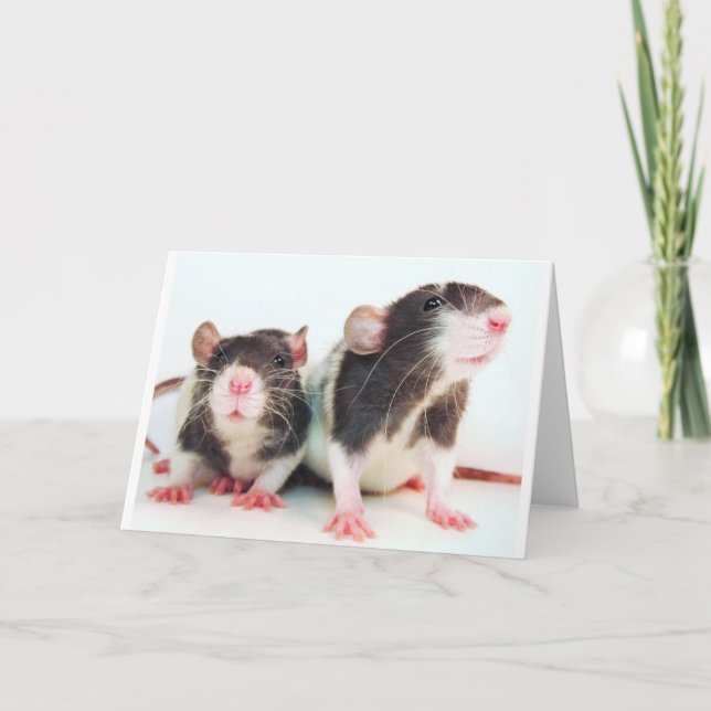 Real Women Own Rats! Card (Front)