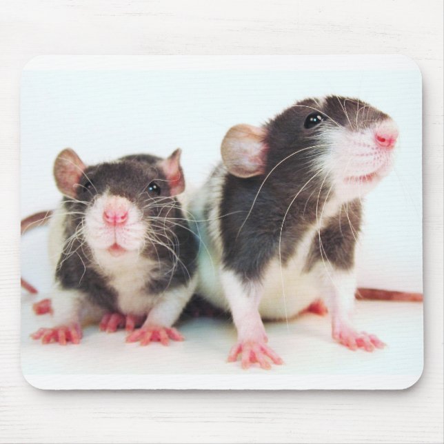 Real Women Own Rats! Mouse Mat (Front)