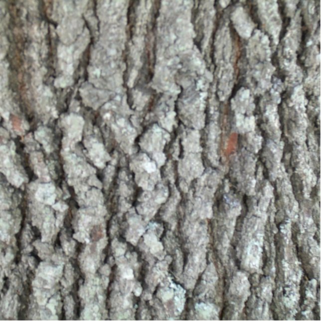 Real Wood Camouflage Oak Tree Bark Camo Standing Photo Sculpture (Front)