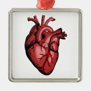 Realistic Anatomical Heart Image Metal Tree Decoration