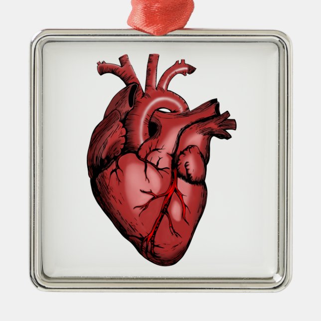 Realistic Anatomical Heart Image Metal Tree Decoration (Front)