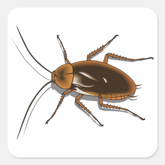 Realistic Brown Cockroach Insect Square Sticker (Front)
