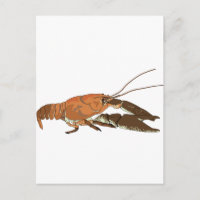 Realistic Crayfish/Crawdad