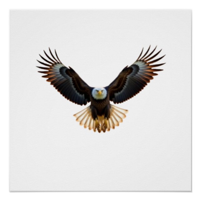 Realistic Eagle in Flight – Cinematic Wildlife Art Poster (Front)