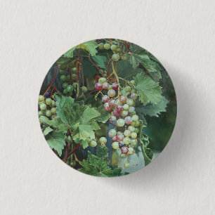 Realistic Grape Vine with Leaves – Fine Art 3 Cm Round Badge