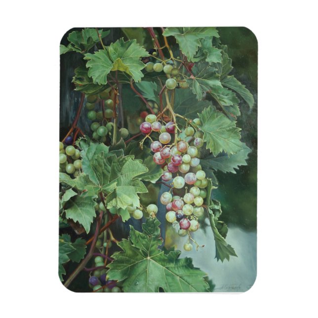 Realistic Grape Vine with Leaves – Fine Art Magnet (Vertical)