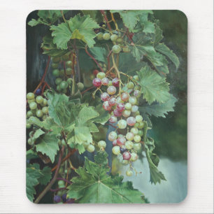 Realistic Grape Vine with Leaves – Fine Art Mouse Mat