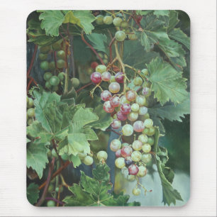 Realistic Grape Vine with Leaves – Fine Art Mouse Mat