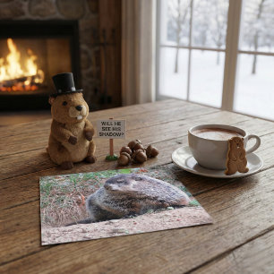 Realistic Groundhog Sitting By Burrow Nature Photo Postcard
