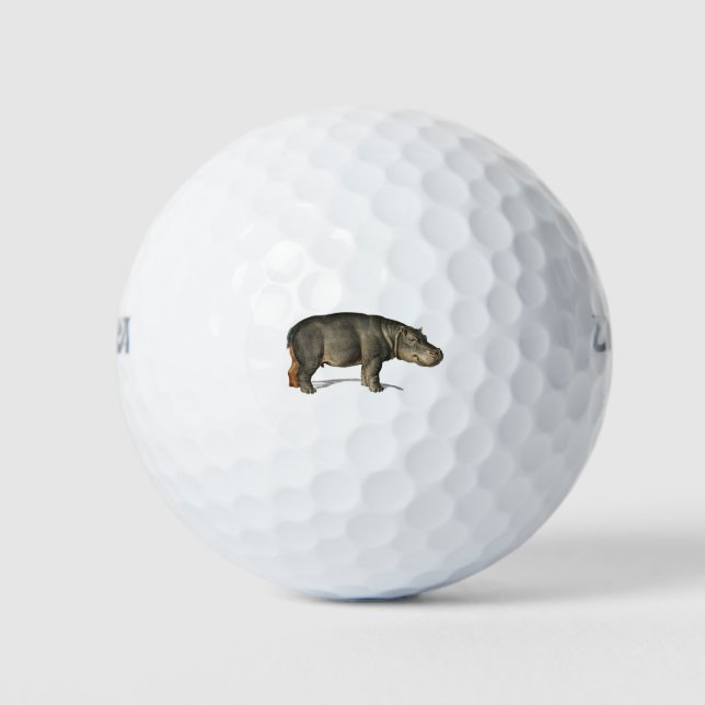 Realistic Hippo Illustration hippopotamus Golf Balls (Front)