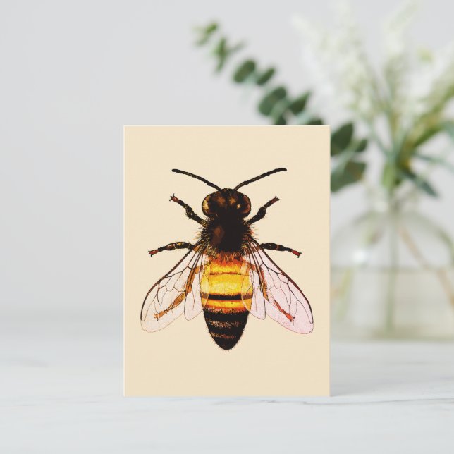 Realistic Honey Bee Art Illustration Postcard (Standing Front)