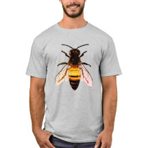 Realistic Honey Bee Art Illustration