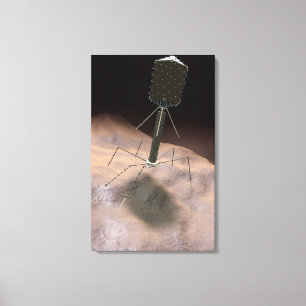 Realistic Illustration of bacteriophage Canvas Print