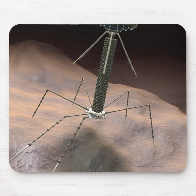 Realistic Illustration of bacteriophage Mouse Mat (Front)