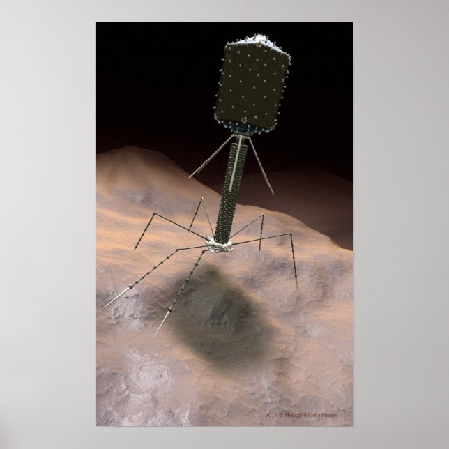 Realistic Illustration of bacteriophage Poster (Front)