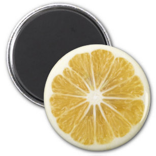 Realistic Lemon Slice Magnet