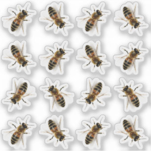 Realistic Life-size Honeybee Beekeeper Stickers