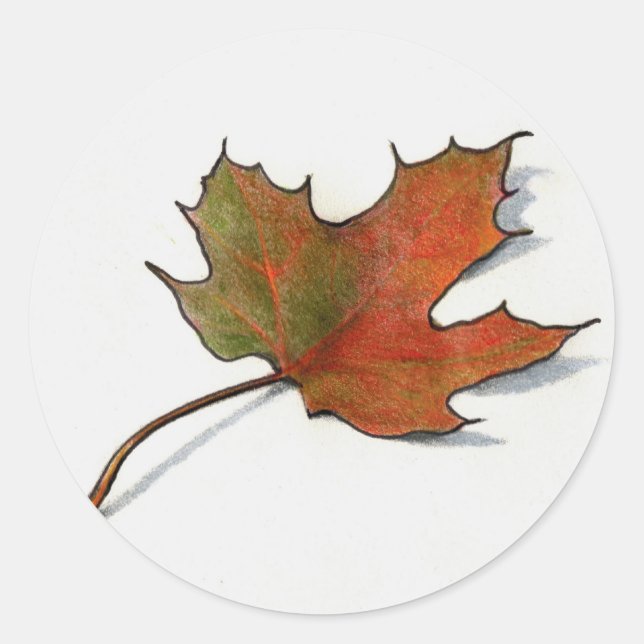 Realistic Maple Leaf: Colour Pencil Art Classic Round Sticker (Front)