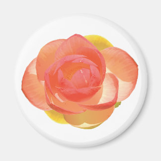 Realistic Peach Water Lily Flower Magnet