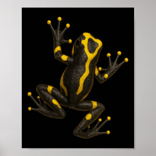 Realistic Poison Dart Frog Climbing Illusion Jungl Poster