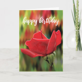 Realistic Red Rose Bud Birthday Card