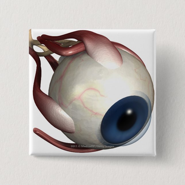 Realistic rendering of the muscles of the eye 15 cm square badge (Front)
