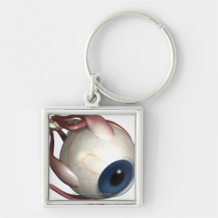 Realistic rendering of the muscles of the eye key ring