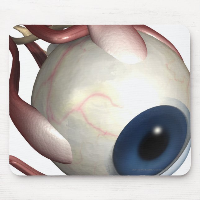 Realistic rendering of the muscles of the eye mouse mat (Front)