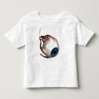 Realistic rendering of the muscles of the eye