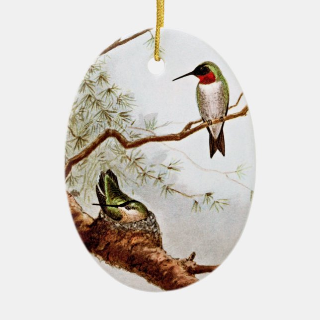 Realistic Ruby-Throated Hummingbird Art Ceramic Tree Decoration (Front)