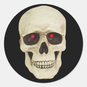 Realistic Skull stickers