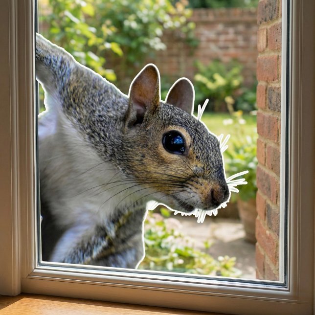 Realistic Squirrel Window Cling (Realistic Squirrel Window Cling)