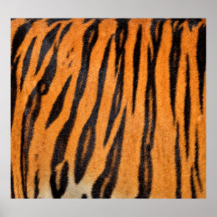 Realistic tiger skin texture. poster