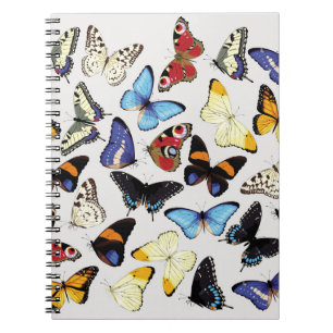 Realistic vintage butterflies collection. notebook