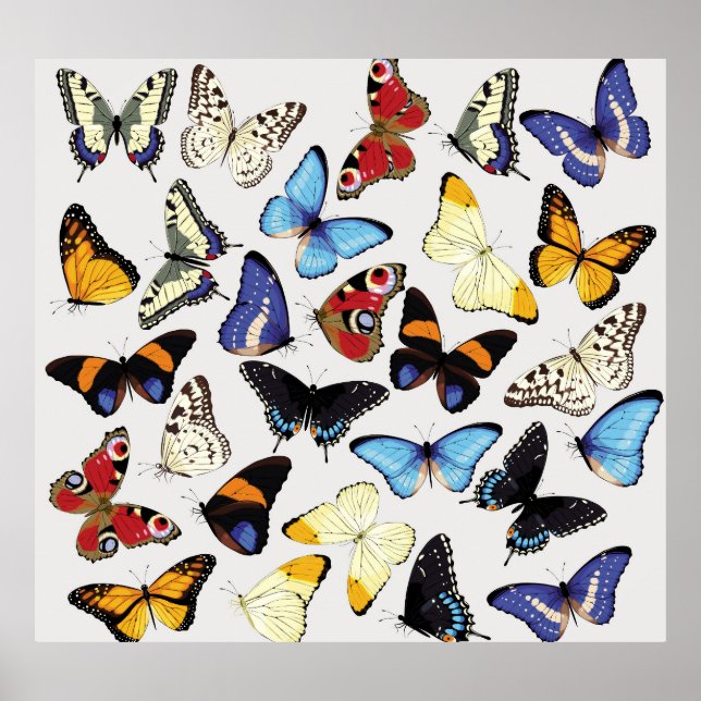 Realistic vintage butterflies collection. poster (Front)