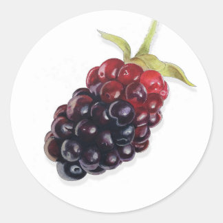Realistic Watercolor Blackberry Jam Sticker Label