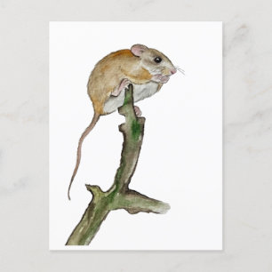 Realistic watercolor mouse in a tree postcard