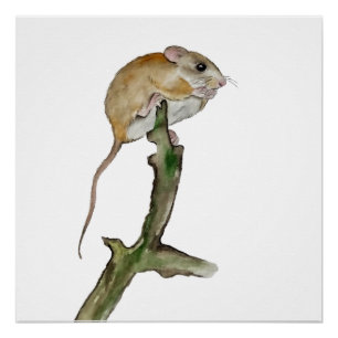 Realistic watercolor mouse in a tree poster