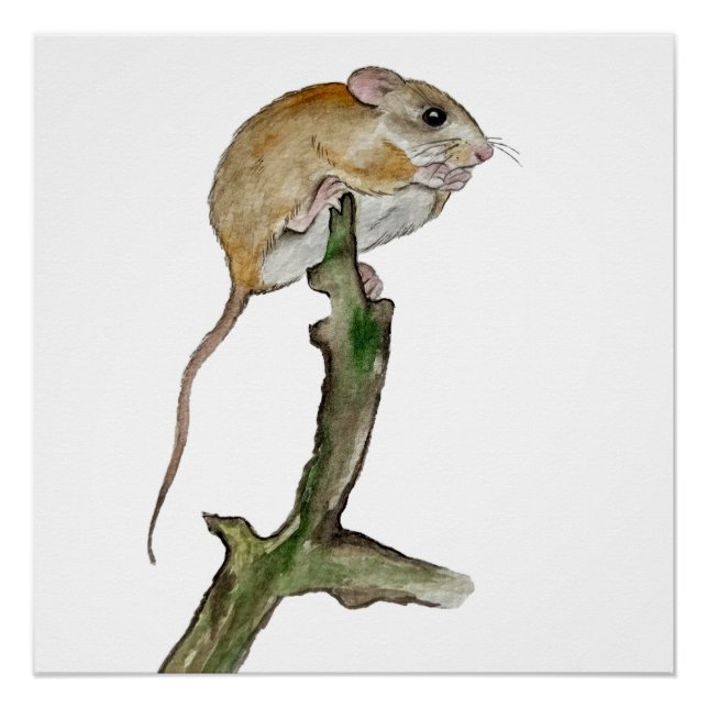 Realistic watercolor mouse in a tree poster (Front)