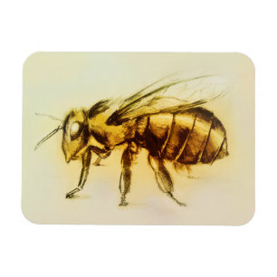 Realistic Yellow Hornet art, Photo Magnet - Bee
