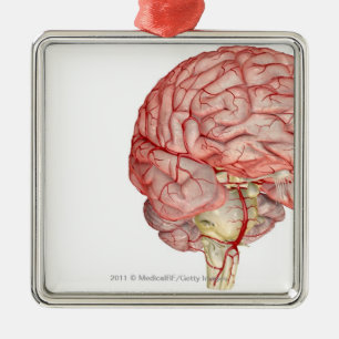 Realitic rendering of the human brain metal tree decoration