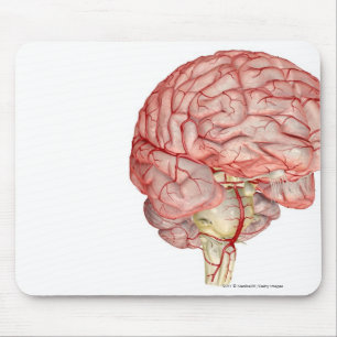 Realitic rendering of the human brain mouse mat