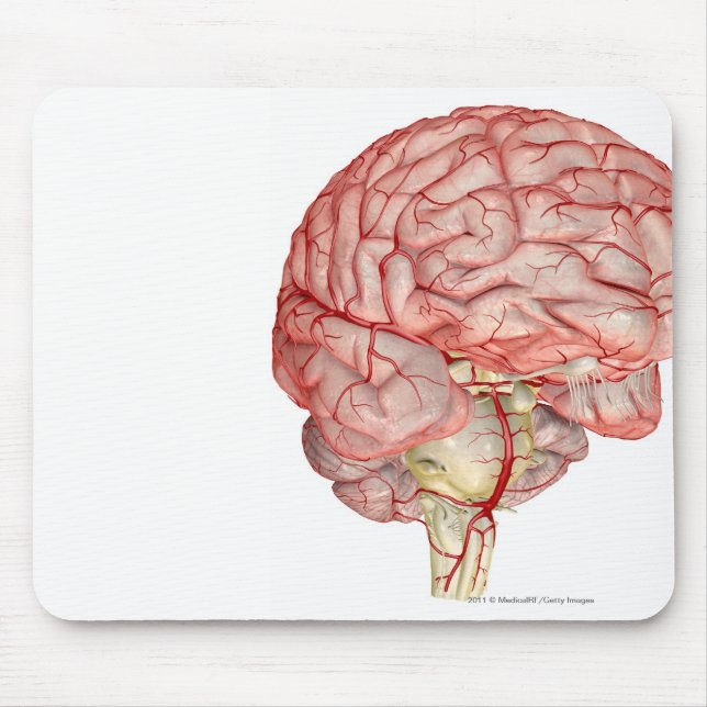 Realitic rendering of the human brain mouse mat (Front)