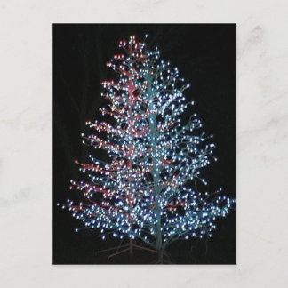 Really Bright! Postcard