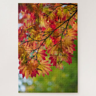 Really Colourful Fall Leaves Puzzle