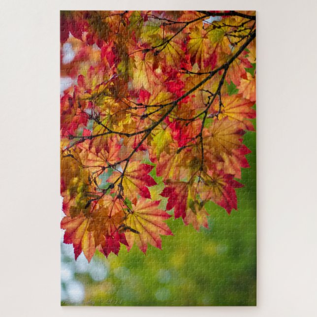 Really Colourful Fall Leaves Puzzle (Vertical)