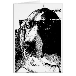 REally cool basset hound