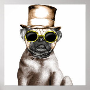 Really Cute Steam Pug With Glasses Poster