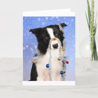 Really? Holiday Card
