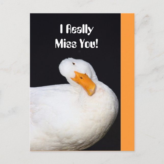 Really Miss You! Cute White Duck Postcard (Front)